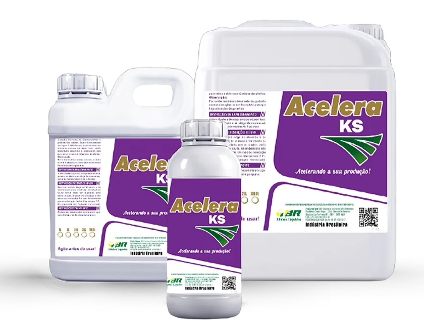 Acelera KS